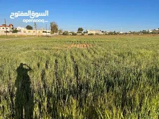  4 ارض للبيع الزنيه الزيتونه