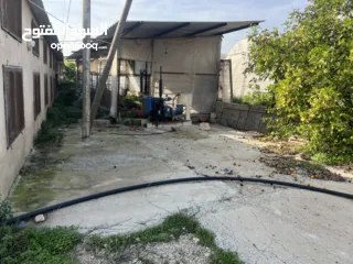  2 مشروع دواجن متكامل وجاهز للإنتاج – ليس مجرد أرض