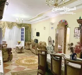  1 شقه للبيع سيدي بشر شارع المسرح عمومي