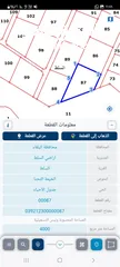  16 أرض للبيع 4دونم السلط من المالك مطلة عالضفة الغربية بداخل مشروع استثماري مستوية ومسنسلة لقطة