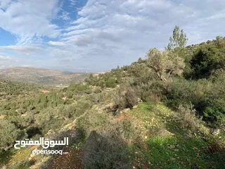  2 جفنا زعبوب 1355 متر على شارعين في المخطط الهيكلي حدود جفنا بيرزيت، مرتفعة ومطلة مقابل تلال بيرزيت