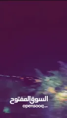  15 شاليه ومزرعة الثريا
