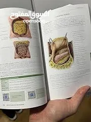  2 كتاب اناتومي kenhub atlas of human anatomy