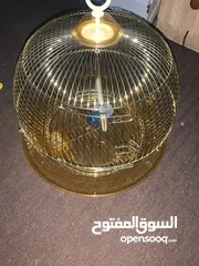  5 قفاص عصافير للبيع