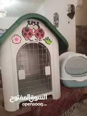  1 مستلزمات قطط