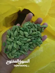  1 Premium Indian Green Cardamom Now in UAE!   هيل أخضر هندي فاخر متوفر الآن في الإمارات!