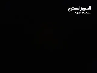  2 مطلوب شقة للايجار
