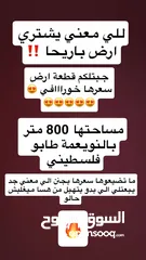  1 ارض للبيع في اريحا