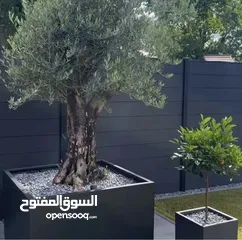  1 قواوير فايبر جلاس بشكل عصري أنيق