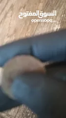  3 عمله اغوره قديمه ونادره