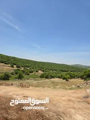  23 راس منيف 2 دونم راس منيف قوشان مستقل  عاليه و كاشفه  من مالك مباشره قريبه من جميع الخدمات راقيه