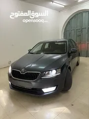  1 محمد ربيع .ابو ضياء.