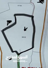  1 للبيع 4دنم ارض في بيت ايبا تصنيف A