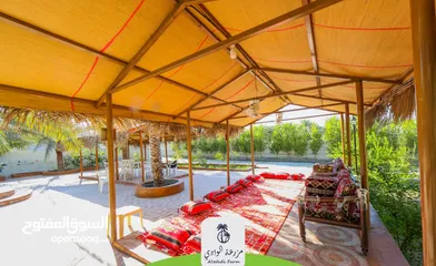  13 Farm for rent مزرعة للايجار