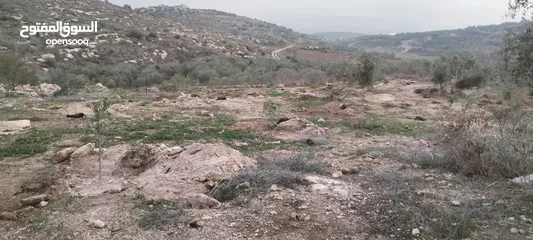  2 عمرو عبيدي