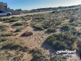 5 قطعة أرض فاضيه في الترية قبل شيل بنزينة  موقعها ثاني قطعة قبل شط البحر