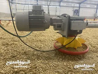  6 تجهيز وبناء مزارع الدواجن المغلقة