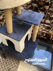  1 منزل قطط للبيع