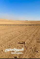  2 مشروع اراضي استثمارية مميزة شارع المطار بريك لقطة  شوارع منفذة من المالك مباشرة