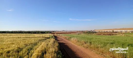  5 قطعة ارض بالقرب من الجامعة الامريكية