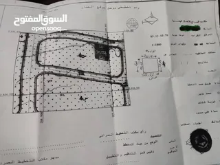  1 جزر الكناري2