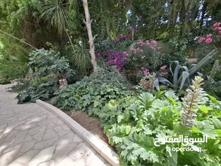 8 شقة غير مفروشة للإيجار  ( Property 43170 )-174836195