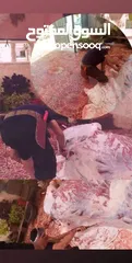  7 لحام متنقل ذبح أضاحي خاروف عجل بلدي جمل غنم بلدي روماني برزيلي كولمبي اسباني خروف بلدي جزار متنقل