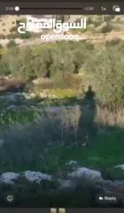  8 بيع ارض سكنية