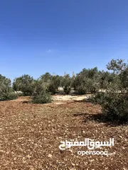  10 قطعة ارض للبيع مميزه ومطلة المساحة 4,609