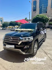  11 تاجير جميع انواع السيارات بسعر مميز