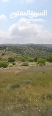  10 مزرعه  صغريه راقيه على قمه جبل مطله للغرب كوشان مستقل بسعر مميز جدا منطقه مزراع راقيه