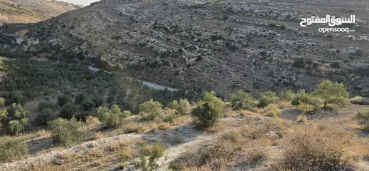  10 ارض زراعيه للبيع بني كنانه