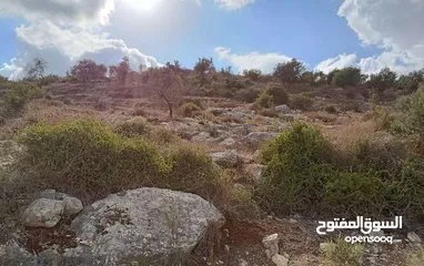  1 للبيع ارض في عنبتا الجبل الجنوبي تصنيف (أ )مساحه 1403 ارض جبليه مرتفعه كوشان نظيف بأفضل مناطق عنبتا