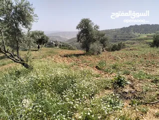  9 أرض مميزة جداً لعمل شاليه استثماري أو مزرعة خاصة أو مزرعة تجارية يوجد بها قناة ماء من المالك مباشرة