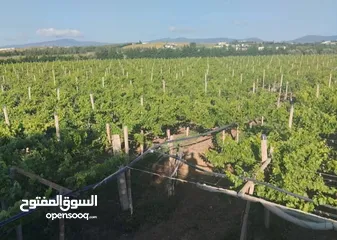  3 هكتار ونص للبيع في تاكلسه