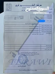  14 شانجان ايدو 2021 حبة مميزه للبيع