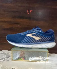  12 شروه احذية 60 جوز اصلي اوروبي منضف معقم جاهز للبيع