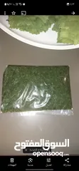  9 ملوخيه وورق عنب وفول وفاصوليا وسبانخ وخضار فروزن