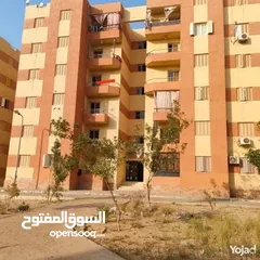 1 شقة للبيع بمدينة بدر بالقرب من مدينة الشروق (4 ك)