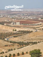  1 30 دنم جرش قفقفا طريق اربد عمان