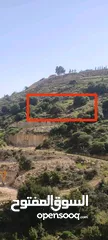  3 ارض للبيع في منطقة واد رحال حوض البيضة الجنوبي الشراء من المالك مباشره