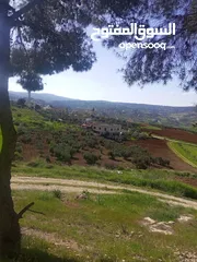  3 ارض للبيع في منطقه السليحي