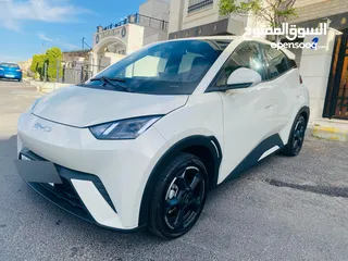  3 بي واي دي 2023