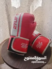  2 boxing gloves (2tuf 2tap)