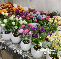  4 شروة مكرمة و قوار ورد