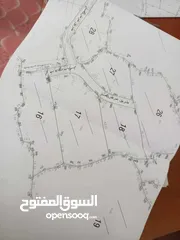  3 فؤاد شحرور