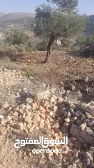  8 قطعة ارض للبيع