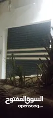  1 ابو ريان وحيدي