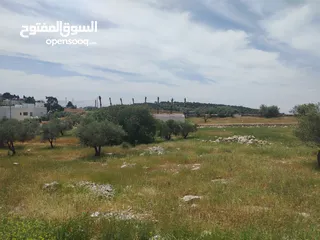 11 دنم مميز بطنا ع شارعين قرب شارع الستين الجديد