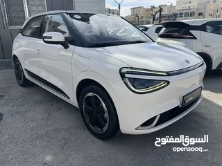  3 Dongfeng Nammi Box 2023